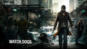 Fond Sleeping Dogs — Câini adormiți Fundal