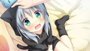 Tapet Anime Girl Hanorac Neko — Fată anime hanorac Fundal