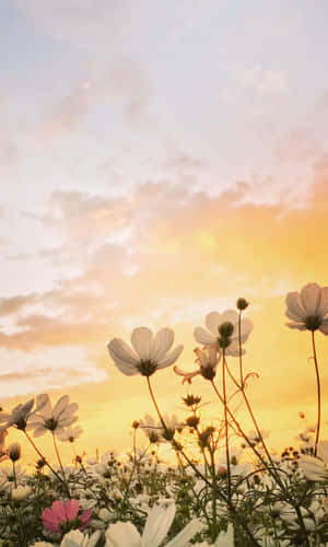 1200x2000 — Galaxy Tab A11 Fundal