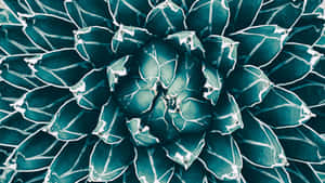 5120x2880 — 5120x2880 Fundal