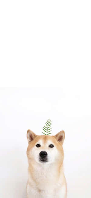 Cute Animal Iphone — iPhone 16 Pro Max Fundal
