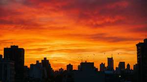 Un apus colorat deasupra orizontului urban, cu păsări și siluete. — Vedere spre cer Fundal