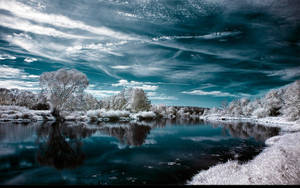 Lac Albastru De Iarna Reflectand Copaci wallpaper.
