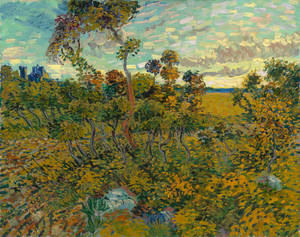 Apus la Montmajour Muzeul Van Gogh