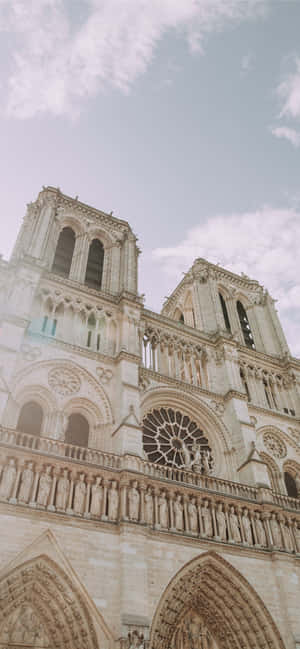Arhitectura Frontala a Catedralei Notre Dame — Vivo V60 Fundal