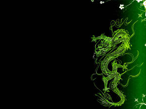 Artă japoneză cu dragon verde și negru pentru PC — Dragon japonez Fundal