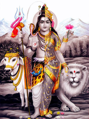 Artă Pop Colorată Shiva Parvati în Ardhnarishwar