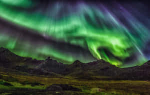 Imagini estetice verde închis — MacBook Pro 16 Fundal