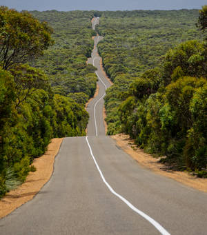 Fond de ecran Highway 1 Of Australia — Nubia Fold Fundal