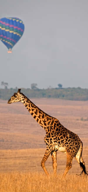 1080x2340 — iPhone Air Fundal