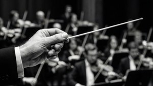 Prim-plan dramatic alb-negru al unui bastonaș de dirijor, alături de orchestră. — Muzică estetică Fundal