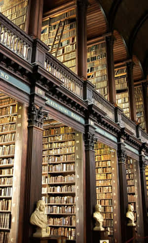 Imagini Bibliotecă — Galaxy Tab A Fundal