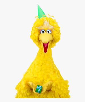 Tapet Big Bird La Mulți Ani — Motorola Razr Ultra 2025 Fundal