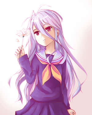 Fundal No Game No Life — No Game No Life Fundal