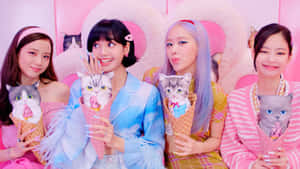 Blackpink Fundal