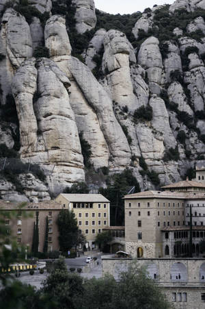 Bolovani albi Montserrat — Huawei MatePad Edge Fundal