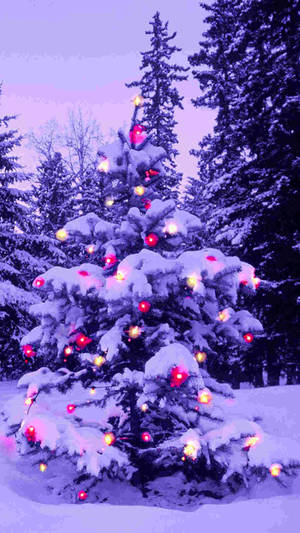Wallpaper cu brad violet de Crăciun pentru iPhone — Craciun iPhone Fundal