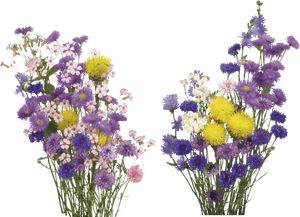 Buchet Colorat Fundal Transparent