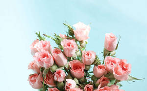 Buchet de flori în estetică pastel roz