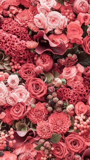 Flori roz