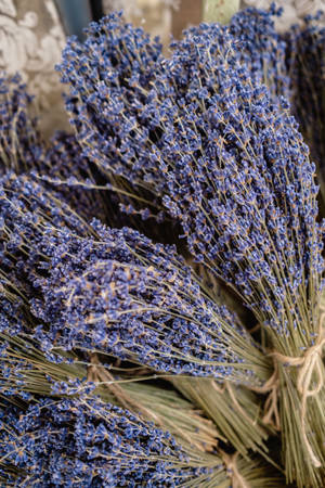 Buchet estetic de lavandă — Levănțică estetică Fundal