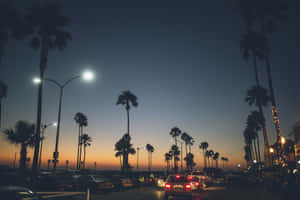 Vara Californiană — Cald Fundal