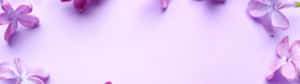 fundal 3840X1080 — 32:9 Fundal