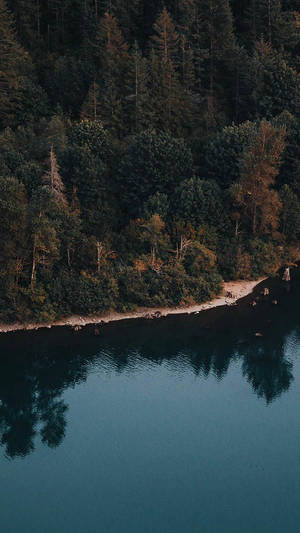 Fond de ecran iPhone XR cu lac și pădure verde, vedere aeriană — iPhone Xr Fundal
