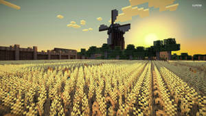 fundal Minecraft plantație de orez răsărit dimineață