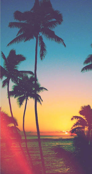 Apus la o plajă tropicală wallpaper iPhone