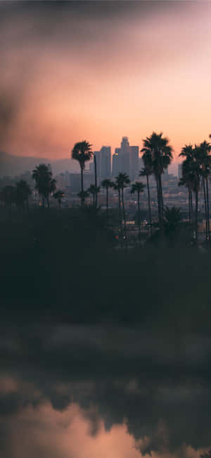 Fundal California iPhone X — Twilight Fundal