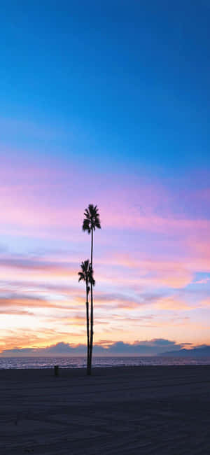 iPhone X California Fundal — Galaxy M16 Fundal