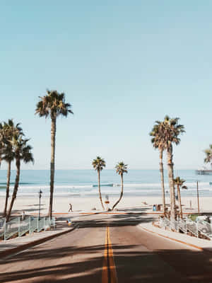 Vara în California — Cald Fundal