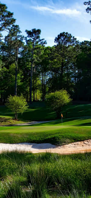Fundal teren de golf Iphone X — Samsung Galaxy S20 Fundal