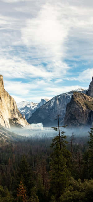 Iphone X California Fundal — Honor Play10A Fundal