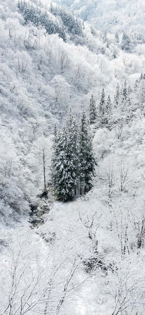 Snow iPhone — iPhone 18 Pro Fundal