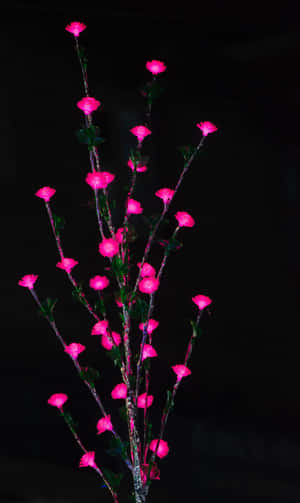 1080x1812 — Tecno Megapad Fundal