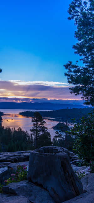 Fundal iPhone X California — Twilight Fundal