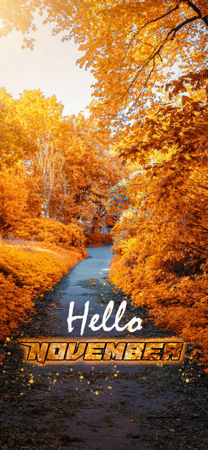 Bună November potecă galbenă de grădină wallpaper — iPhone 12 Pro Fundal