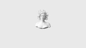 Bust de Medusa estetic minimalist pentru calculator