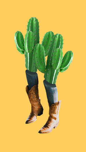 Cactusi cu Cizme, Estetică Western