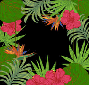 Frunze Arecaceae Copac Fundal Palmier Frunze Bordură - Borduri Frunze Verzi Cu Flori, Descărcare HD PNG