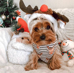 Preppy de Crăciun — Preppy Christmas Fundal