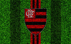 Camp de Iarbă Flamengo FC