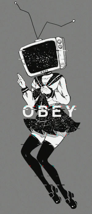 Fond de ecran TV head Echo glitch — Galaxy Z Flip Fundal