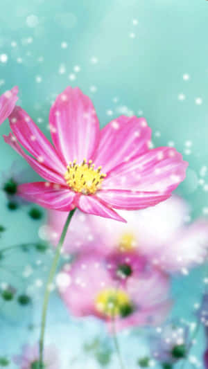 Captează frumusețea naturii cu acest wallpaper vibrant cu flori pentru iPhone — Floral iPhone Fundal