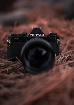 Fotografie cu un aparat Pentax negru pe un wallpaper cu cuib de pasăre. — OnePlus Pad Fundal
