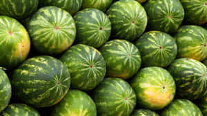 Fundal Pepene Verde — Estetică verde GIF Fundal