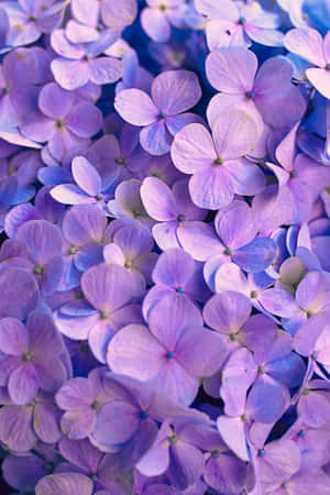 Fundal Floral Violet — Huawei MatePad Fundal