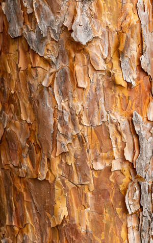 Caramel Brown Textured Bark — Lenovo Tab Plus Gen 2 Fundal
